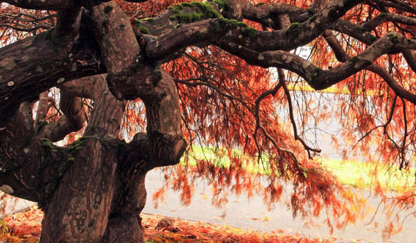 短信轰炸网页版